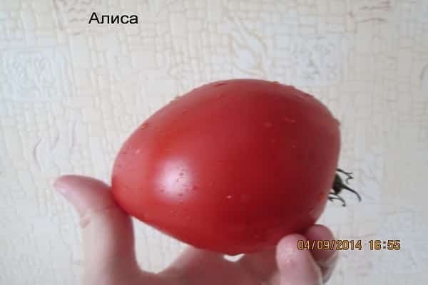 une récolte abondante