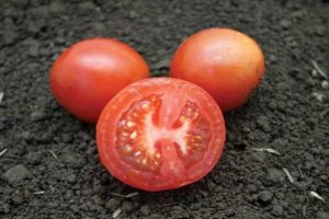 Description de la variété de tomate Blanche-Neige, ses caractéristiques, sa plantation et son entretien