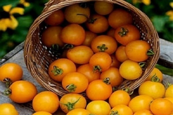 qualités gustatives