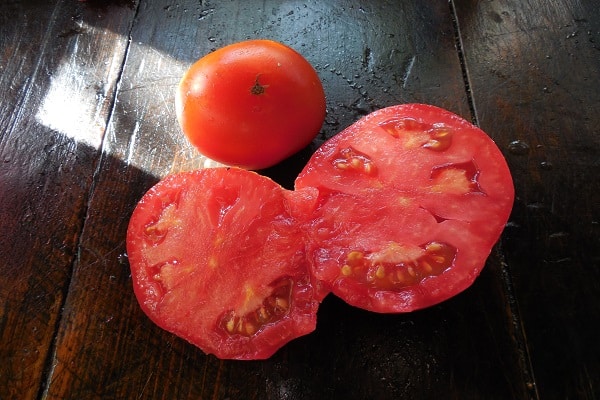 tomate Ermak