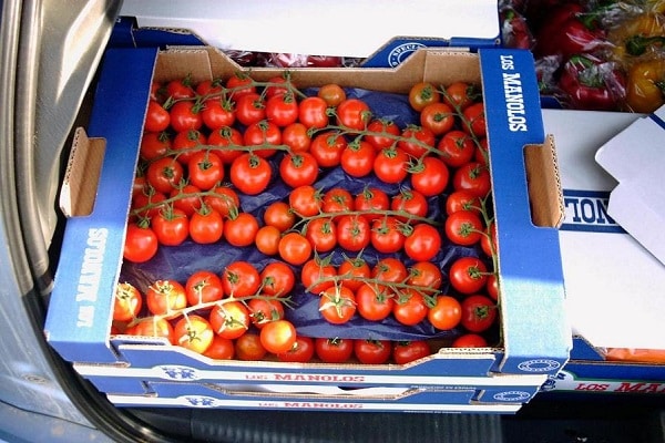 porter ses fruits dans des conditions