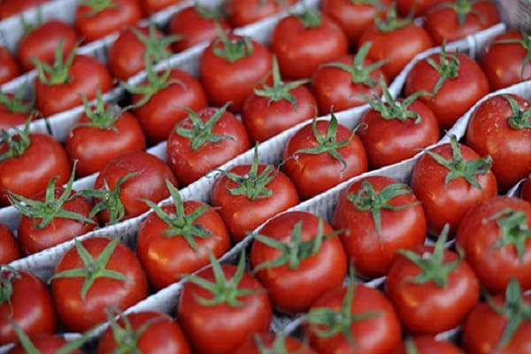 buissons sécurisés