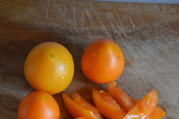 la plantation est effectuée