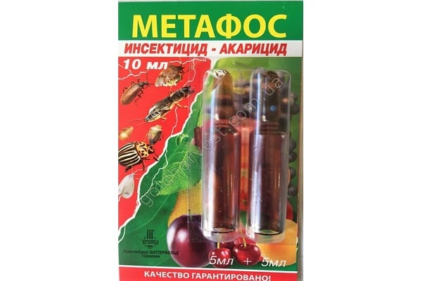 Maßnahmen, um es zu beseitigen