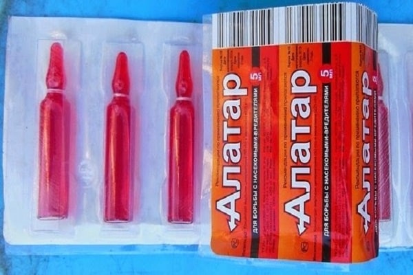 commencer le traitement