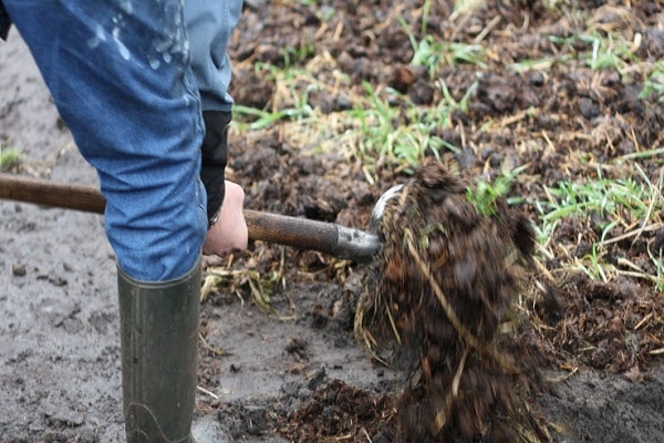 Zweckmäßigkeit der Verwendung