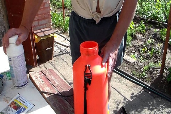 organische Düngemittel