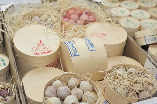 Krankheit ausgesetzt