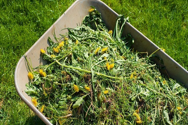 rationnellement utilisé