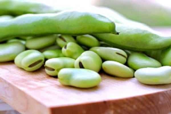 sehr abwechslungsreich