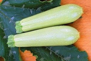 Description de la variété de courgettes Iskander f1, caractéristiques de culture et rendement