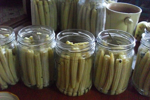 mise en conserve de récolte