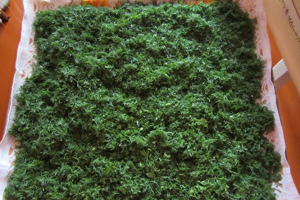 vérifier l'état de préparation