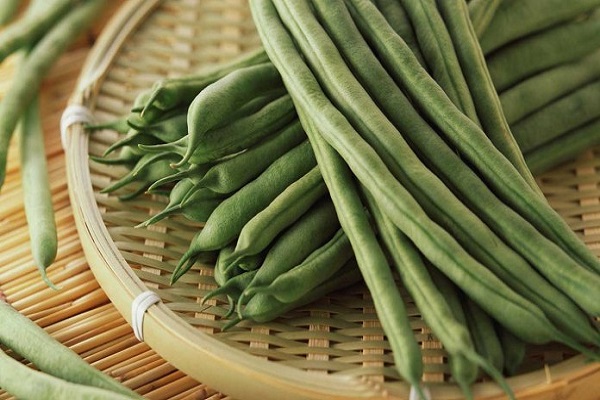 composition et teneur en calories