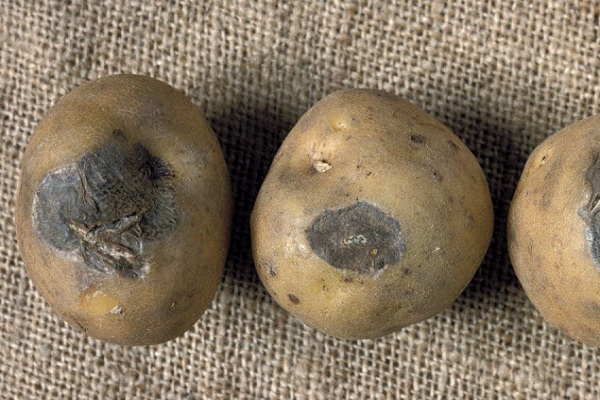 hohe Luftfeuchtigkeit