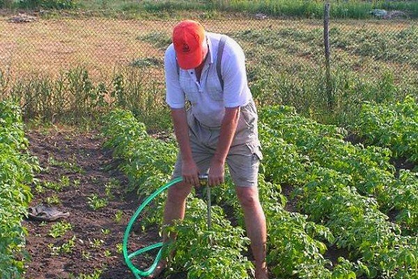 Lösung wird eingeführt