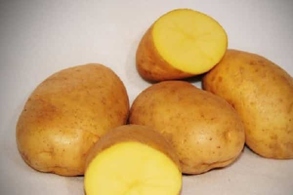 Pass auf die Sämlinge auf