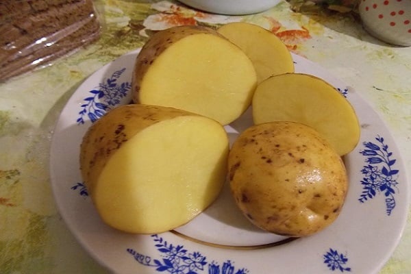 Pass auf die Sämlinge auf