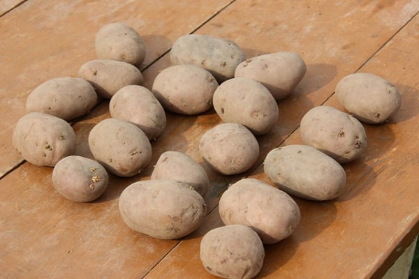 Beseitigung von Krankheiten