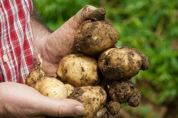 les conditions de travail