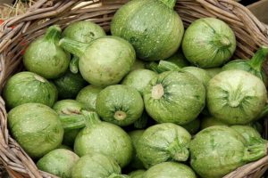 Description des meilleures variétés de courgettes rondes, caractéristiques de culture et d'entretien