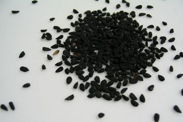 travail préparatoire