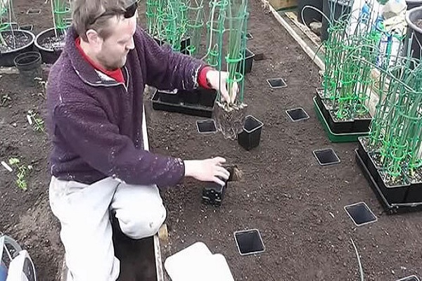 assurez-vous de compléter