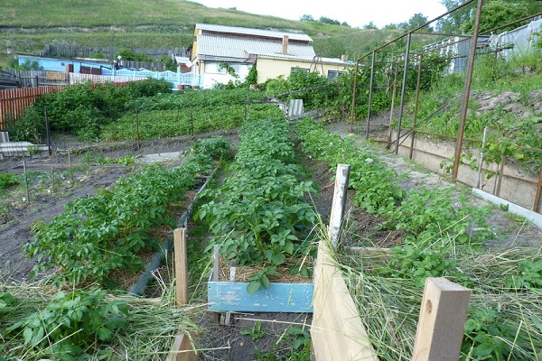 différentes façons