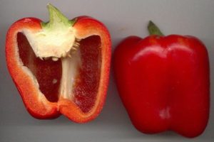 Description de la variété de piment Red Bull, ses caractéristiques et sa productivité