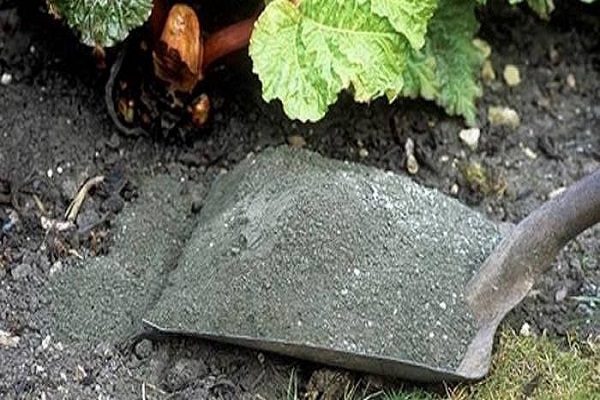 die Situation korrigieren