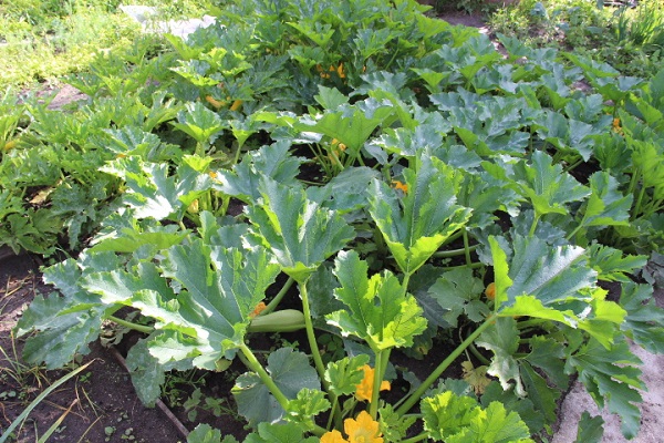 n'importe quelle étape