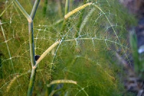Pass auf ihren Schutz auf