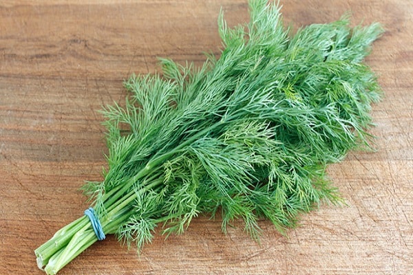 vollständig trocknen