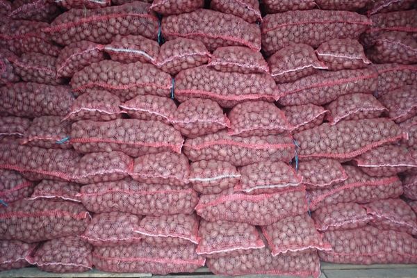 Säcke mit Kartoffeln