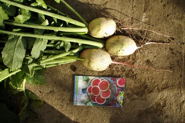 nettoie les intestins