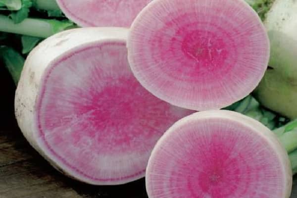 manger des légumes racines