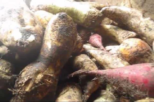 spezielle Repositories