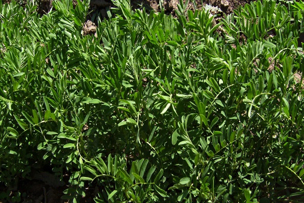 technologie croissante