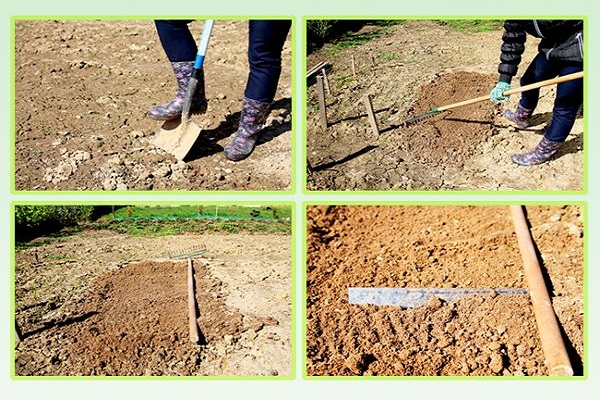 réagit aux matières organiques