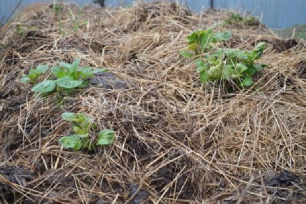 Lautstärke erhöhen