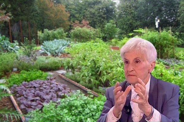 growth and development