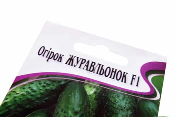 graines de concombre Crane F1