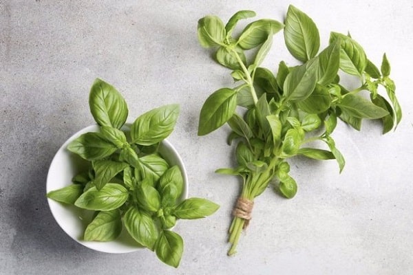 basilic dans l'alimentation