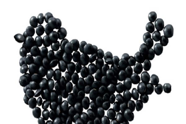 Diät halten und Gewicht verlieren