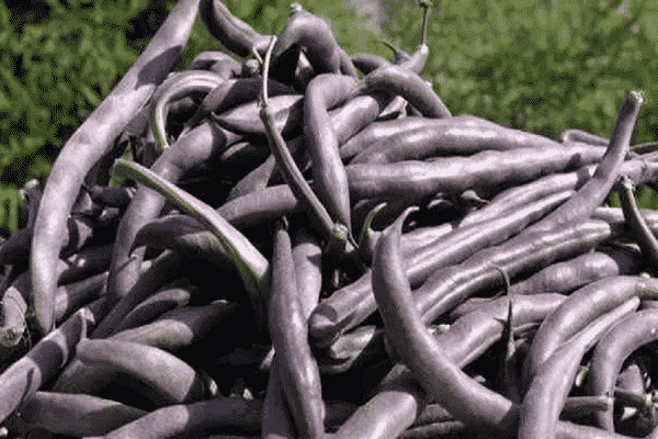 Manifestationen der Wechseljahre