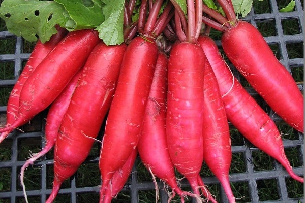 présence d'humidité