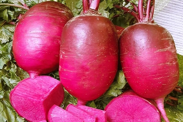 variétés de daikon