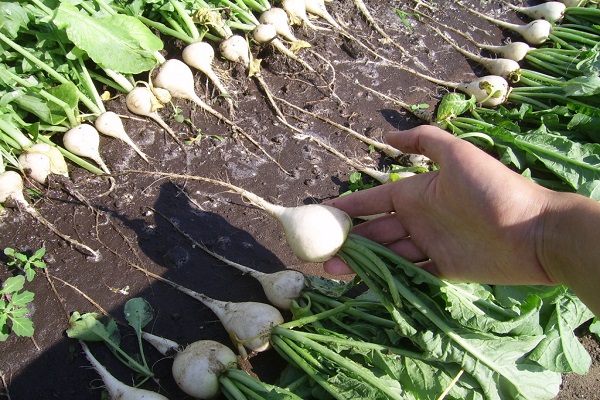 beleuchteter Bereich