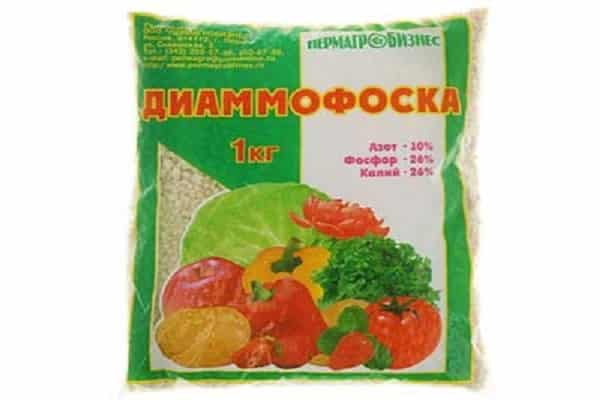 Der Boden wird kultiviert