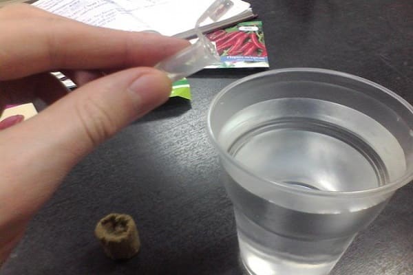 biologische Prozesse